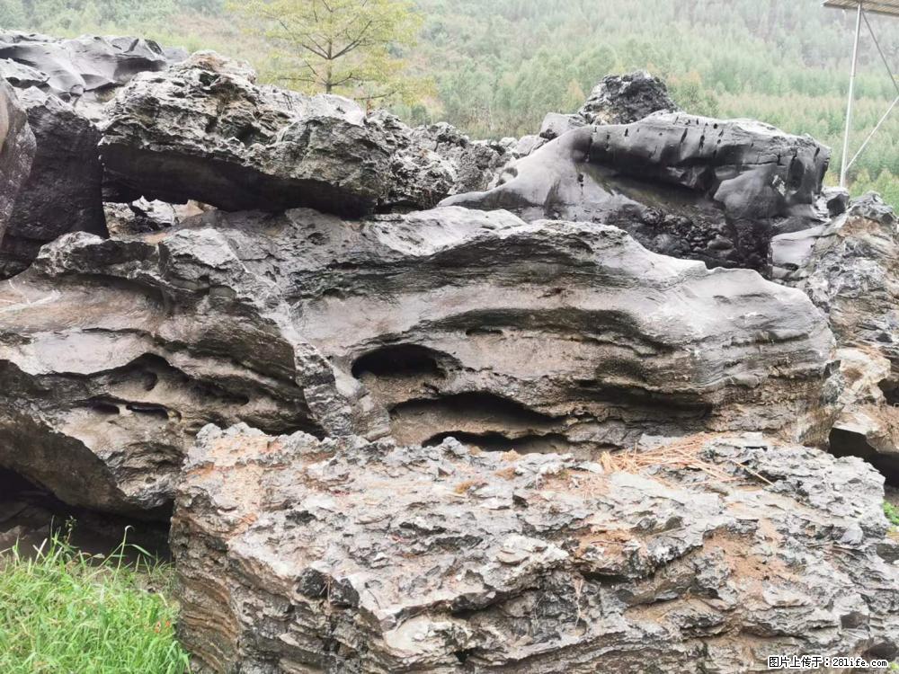 风景石、假山石大量有货，有需要的欢迎联系 - 新手上路 - 双鸭山生活社区 - 双鸭山28生活网 sys.28life.net