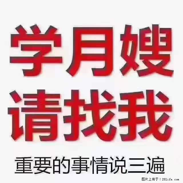 为什么要学习月嫂,育婴师? - 其他广告 - 广告专区 - 双鸭山分类信息 - 双鸭山28生活网 sys.28life.net