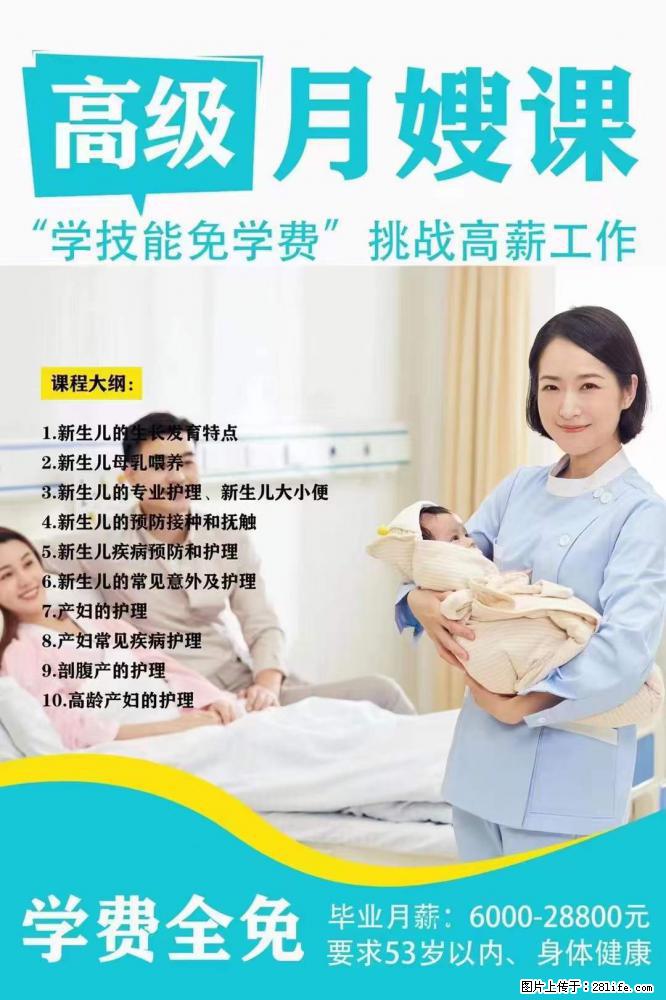 为什么要学习月嫂,育婴师? - 其他广告 - 广告专区 - 双鸭山分类信息 - 双鸭山28生活网 sys.28life.net