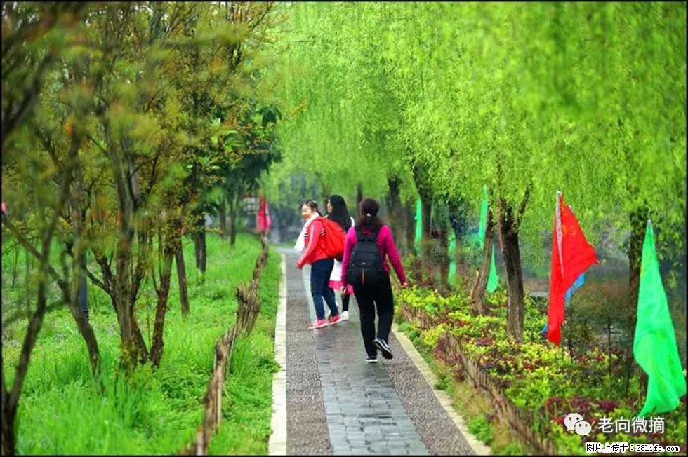 【春天,广西桂林灌阳县向您发出邀请!】江口老街又逢春 - 游山玩水 - 双鸭山生活社区 - 双鸭山28生活网 sys.28life.net