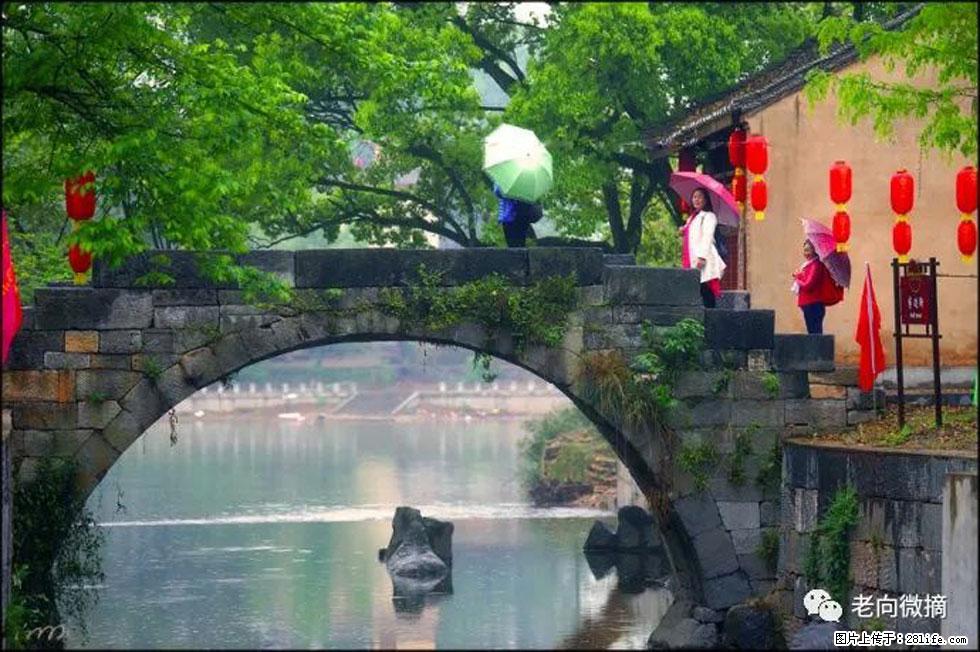 【春天,广西桂林灌阳县向您发出邀请!】江口老街又逢春 - 游山玩水 - 双鸭山生活社区 - 双鸭山28生活网 sys.28life.net