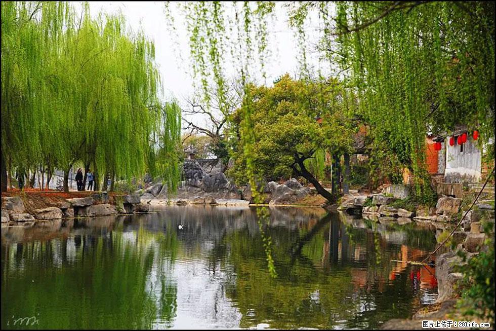 【春天,广西桂林灌阳县向您发出邀请!】江口老街又逢春 - 游山玩水 - 双鸭山生活社区 - 双鸭山28生活网 sys.28life.net