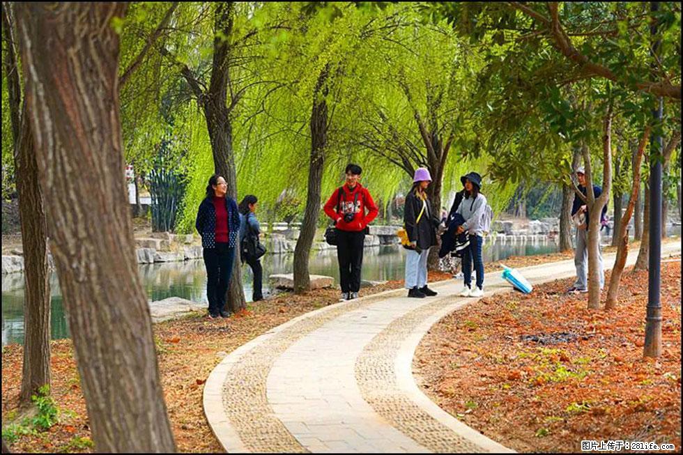 【春天,广西桂林灌阳县向您发出邀请!】江口老街又逢春 - 游山玩水 - 双鸭山生活社区 - 双鸭山28生活网 sys.28life.net