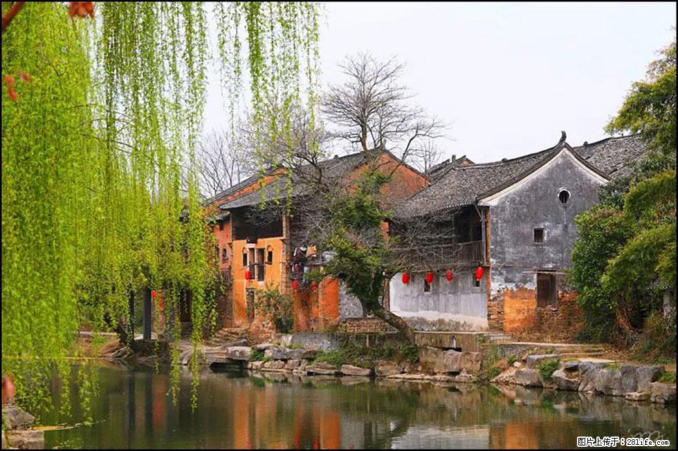 【春天,广西桂林灌阳县向您发出邀请!】江口老街又逢春 - 游山玩水 - 双鸭山生活社区 - 双鸭山28生活网 sys.28life.net