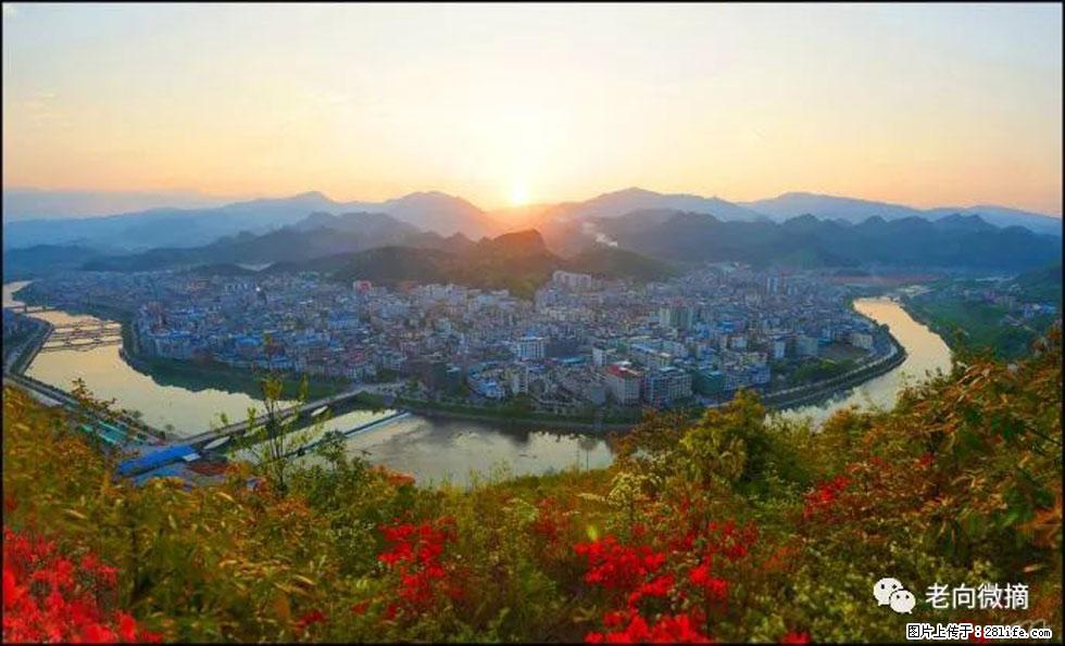 【春天，广西桂林灌阳县向您发出邀请！】登麒麟山，相约映山红 - 游山玩水 - 双鸭山生活社区 - 双鸭山28生活网 sys.28life.net