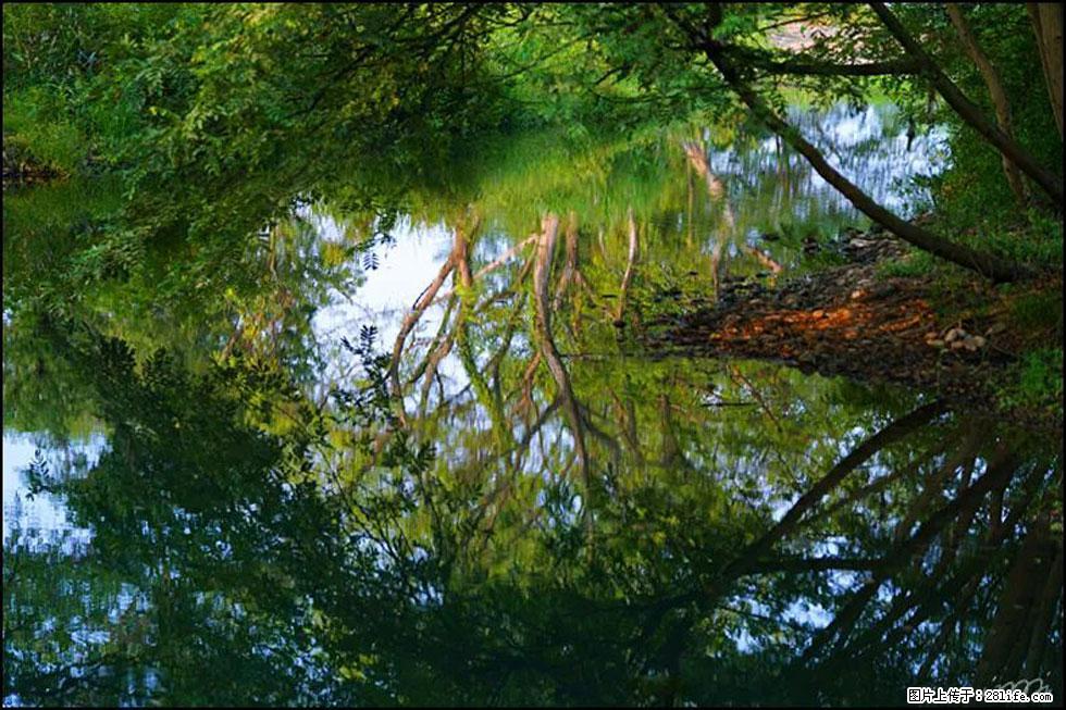 【春天，广西桂林灌阳县向您发出邀请！】熊家寨湿地公园 - 游山玩水 - 双鸭山生活社区 - 双鸭山28生活网 sys.28life.net