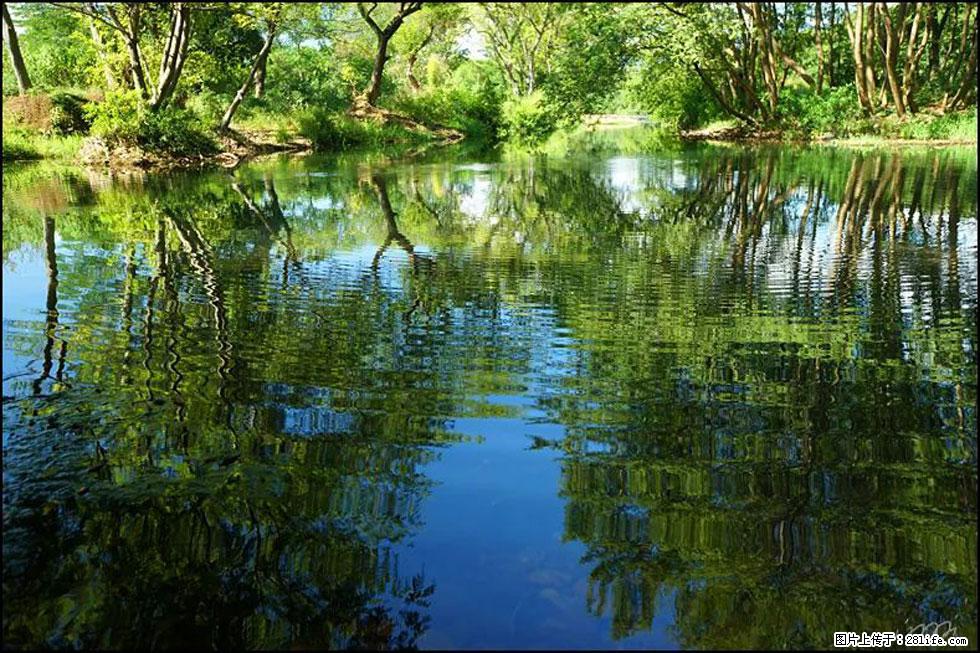 【春天，广西桂林灌阳县向您发出邀请！】熊家寨湿地公园 - 游山玩水 - 双鸭山生活社区 - 双鸭山28生活网 sys.28life.net