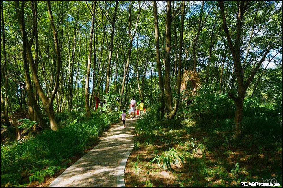 【春天，广西桂林灌阳县向您发出邀请！】熊家寨湿地公园 - 游山玩水 - 双鸭山生活社区 - 双鸭山28生活网 sys.28life.net