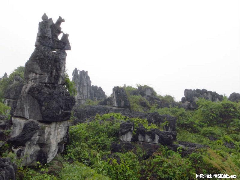 桂林旅游名城景点：灌阳文市石林 - 游山玩水 - 双鸭山生活社区 - 双鸭山28生活网 sys.28life.net