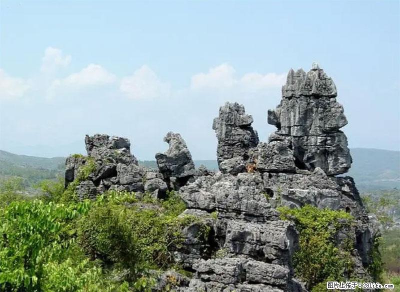 桂林旅游名城景点：灌阳文市石林 - 游山玩水 - 双鸭山生活社区 - 双鸭山28生活网 sys.28life.net