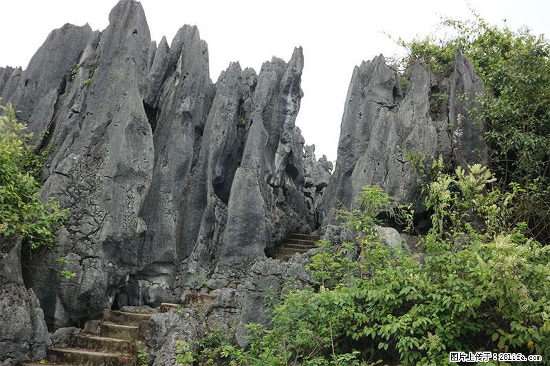 桂林旅游名城景点：灌阳文市石林 - 游山玩水 - 双鸭山生活社区 - 双鸭山28生活网 sys.28life.net