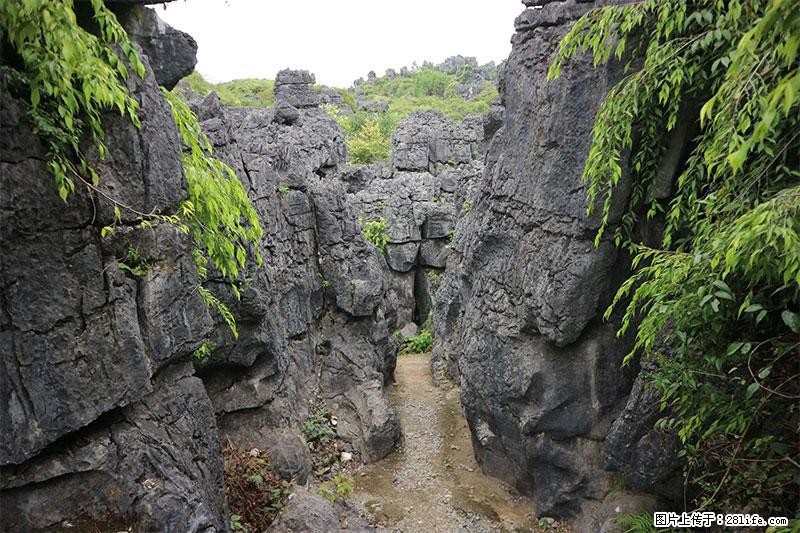 桂林旅游名城景点：灌阳文市石林 - 游山玩水 - 双鸭山生活社区 - 双鸭山28生活网 sys.28life.net
