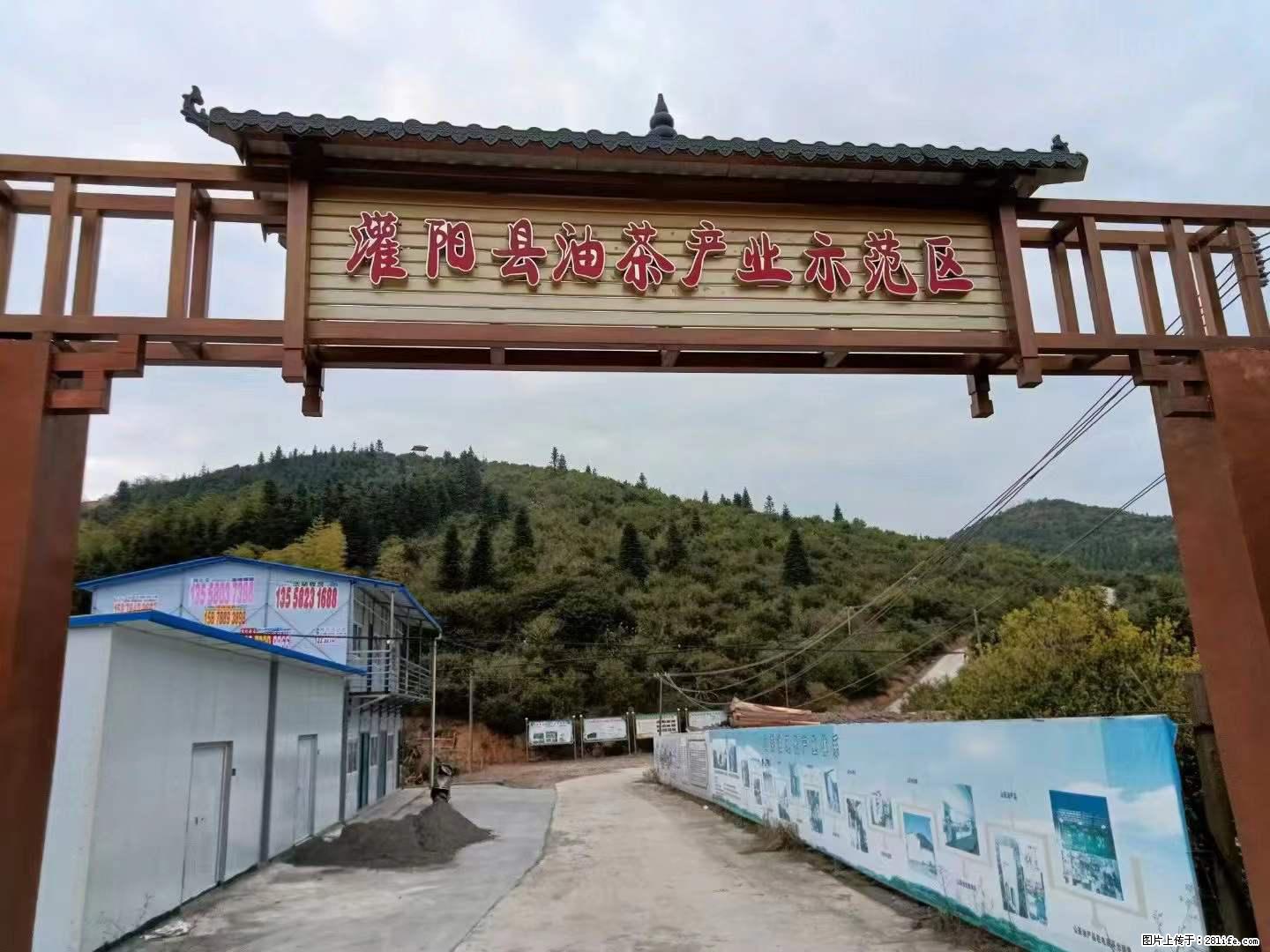 【灌阳县油茶产业示范区】一个有着充实的精神生活的人，对待身外之物自会有一种淡泊的态度 - 土特产 - 饮食特产 - 双鸭山分类信息 - 双鸭山28生活网 sys.28life.net