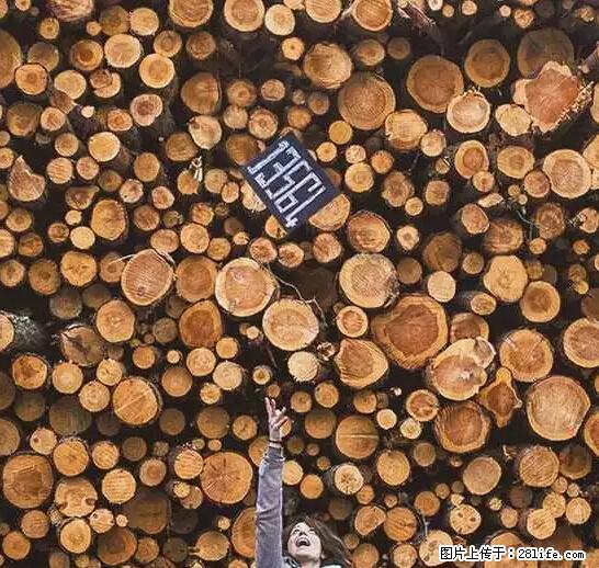 辞掉工作周游世界？现在他们在洗厕所…… - 游山玩水 - 双鸭山生活社区 - 双鸭山28生活网 sys.28life.net