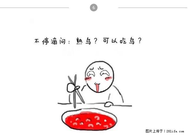 千万不要和这9种哈卵一起吃火锅！ - 美食天地 - 双鸭山生活社区 - 双鸭山28生活网 sys.28life.net