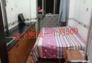 (单间出租)单间出租:西平行路4马路 ，干净肃静，拎包入住。 - 双鸭山28生活网 sys.28life.net