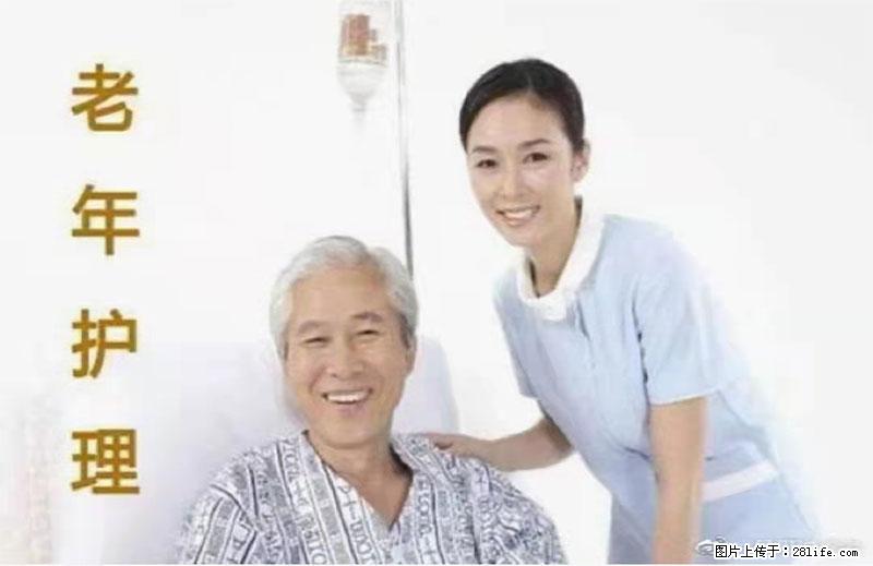 上海国企养老院，星级酒店环境，招聘养老护工 - 职场交流 - 双鸭山生活社区 - 双鸭山28生活网 sys.28life.net