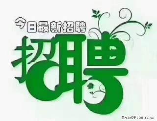 【招聘摄像师】待遇：试用期6000元/月，转正7000元/月+五险一金+餐补+节日福利+奖金 - 双鸭山28生活网 sys.28life.net