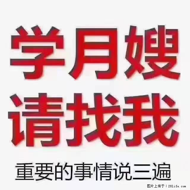 【招聘】月嫂，上海徐汇区 - 职场交流 - 双鸭山生活社区 - 双鸭山28生活网 sys.28life.net