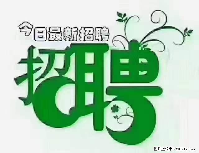 急聘！急聘！上海酒店长期前台，做六休一，每天8小时，6000块钱一月 - 职场交流 - 双鸭山生活社区 - 双鸭山28生活网 sys.28life.net