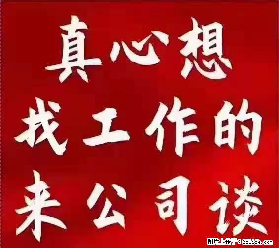 【上海】国企，医院招两名男保安，55岁以下，身高1.7米以上，无犯罪记录不良嗜好 - 职场交流 - 双鸭山生活社区 - 双鸭山28生活网 sys.28life.net