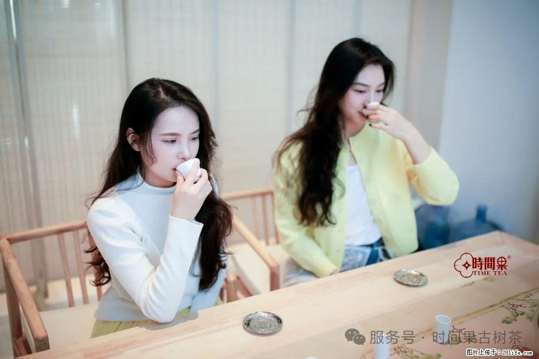 时间果百年古树龙珠普洱生茶 - 购物交流 - 双鸭山生活社区 - 双鸭山28生活网 sys.28life.net