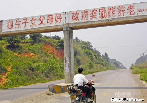 全面两孩政策计划明年元旦起实施 夫妻可延长生育假 - 双鸭山生活资讯 - 双鸭山28生活网 sys.28life.net