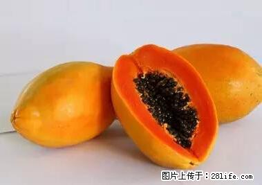 晕车、脚气、牙齿变黄、皮肤粗糙？学会这些三分钟搞定！ - 双鸭山生活资讯 - 双鸭山28生活网 sys.28life.net