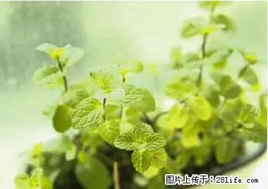 晕车、脚气、牙齿变黄、皮肤粗糙？学会这些三分钟搞定！ - 双鸭山生活资讯 - 双鸭山28生活网 sys.28life.net