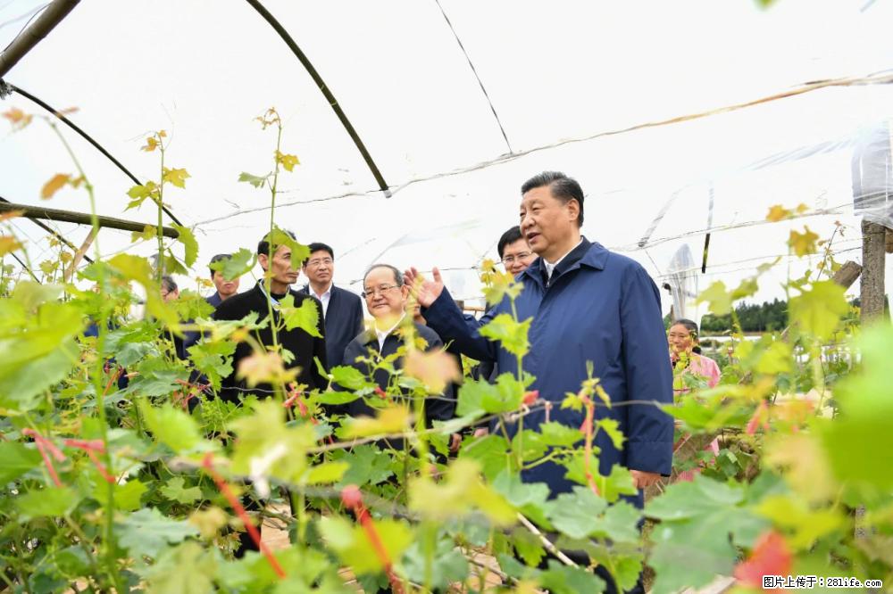 习近平赴广西考察调研 - 双鸭山生活资讯 - 双鸭山28生活网 sys.28life.net