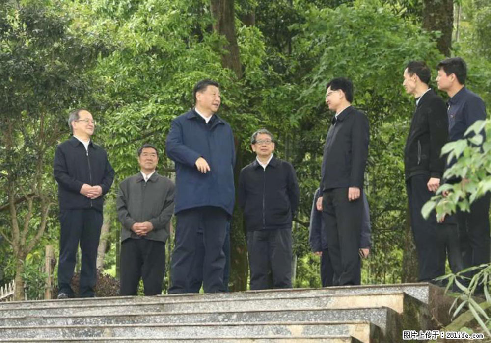 习近平赴广西考察调研 - 双鸭山生活资讯 - 双鸭山28生活网 sys.28life.net