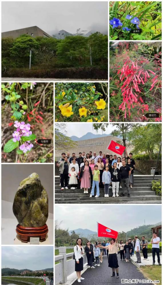 “粤灌文化 美好生活”油茶文化主题活动在广东深圳成功举办 - 双鸭山生活资讯 - 双鸭山28生活网 sys.28life.net
