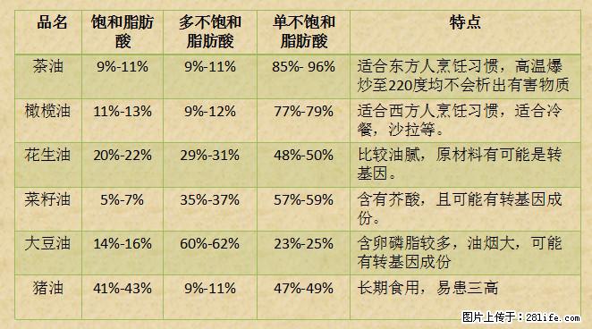 揭秘茶油的5大核心营养成分!被称为人体健康的“守护盾”! - 双鸭山生活资讯 - 双鸭山28生活网 sys.28life.net