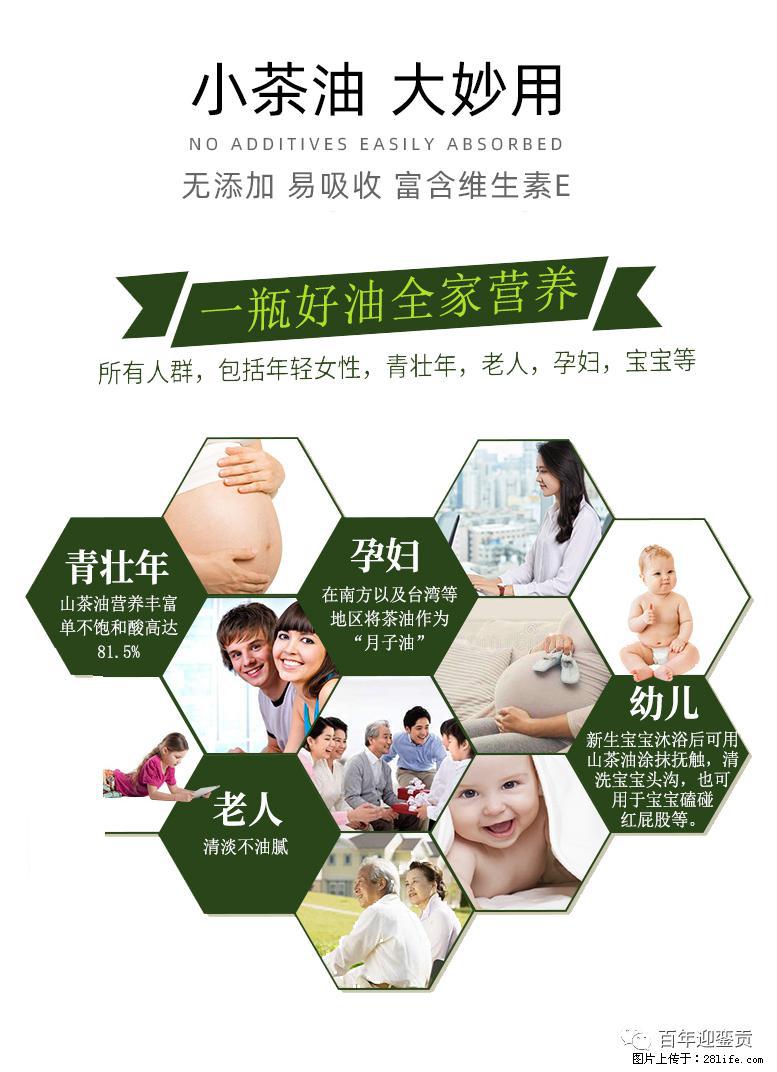 世界没有真相，只有认知，最好的食用油是中国的山茶油！ - 双鸭山生活资讯 - 双鸭山28生活网 sys.28life.net