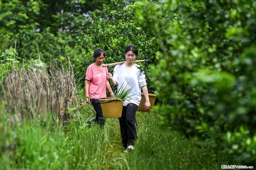 全网追的“扁担女孩”，找了一份暑假工，时薪12元 - 双鸭山生活资讯 - 双鸭山28生活网 sys.28life.net