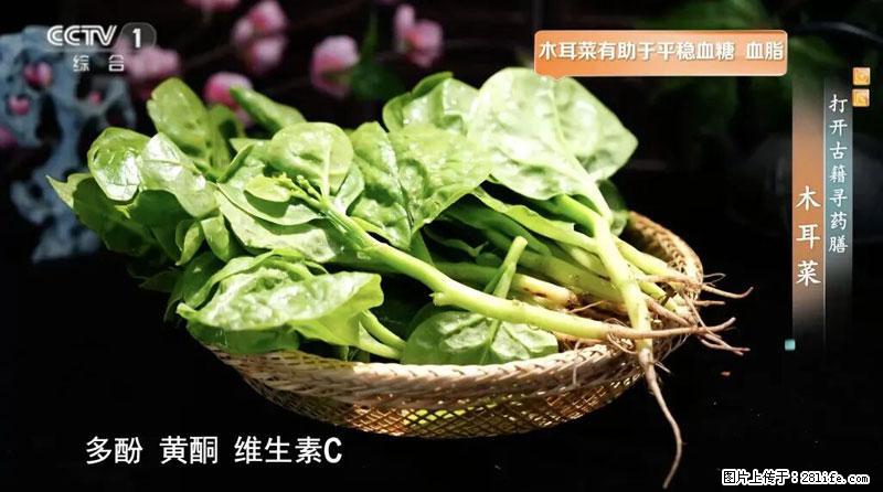 比牛奶补钙还厉害！凉血解毒、稳血糖...这菜冬天必吃，很多人却当草 - 双鸭山生活资讯 - 双鸭山28生活网 sys.28life.net