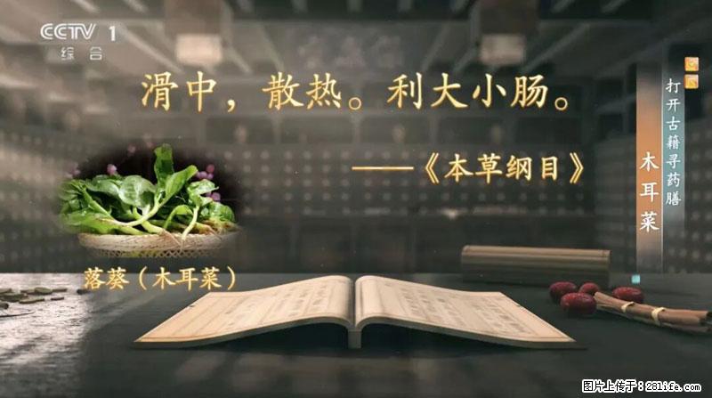 比牛奶补钙还厉害！凉血解毒、稳血糖...这菜冬天必吃，很多人却当草 - 双鸭山生活资讯 - 双鸭山28生活网 sys.28life.net