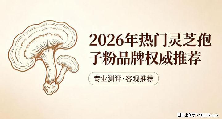 灵芝孢子粉含量越高越有效？2026 年七款热门品牌深度实测，肠胃敏感者避坑指南 - 双鸭山生活资讯 - 双鸭山28生活网 sys.28life.net